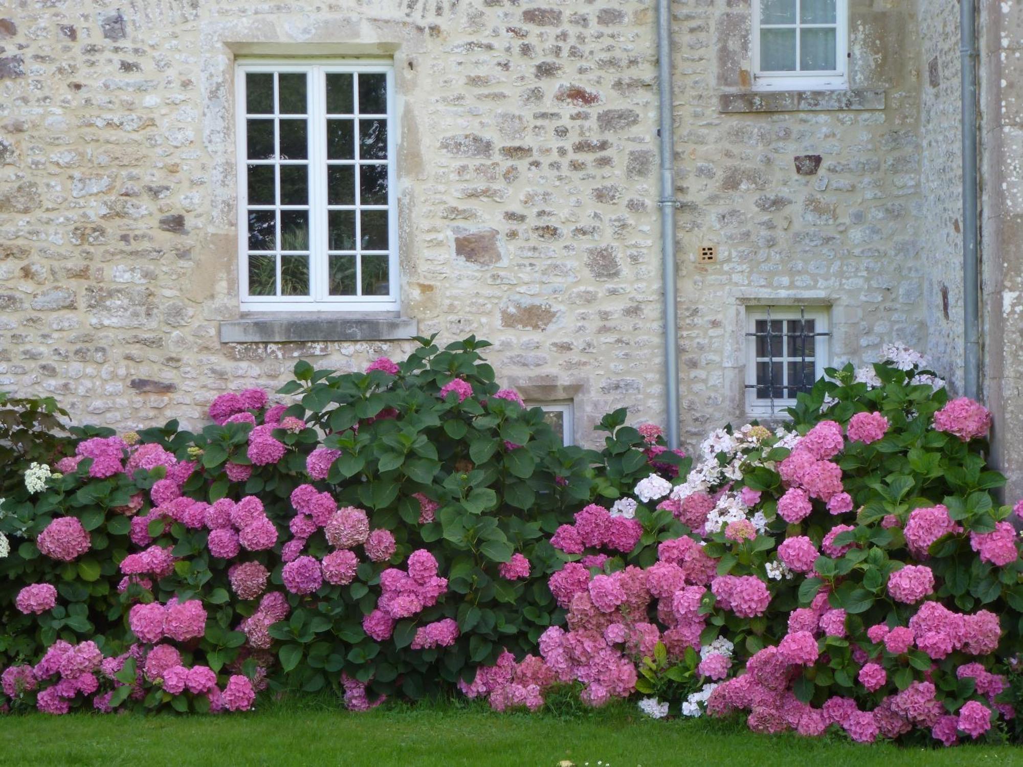 Bed and Breakfast Manoir De Savigny Valognes Esterno foto