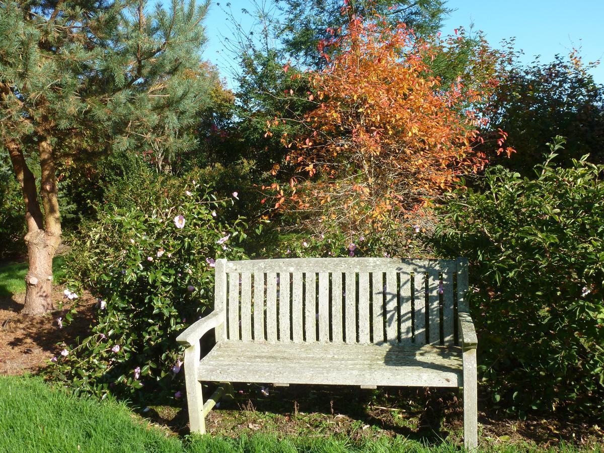 Bed and Breakfast Manoir De Savigny Valognes Esterno foto
