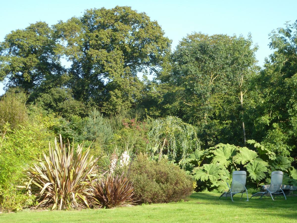 Bed and Breakfast Manoir De Savigny Valognes Esterno foto